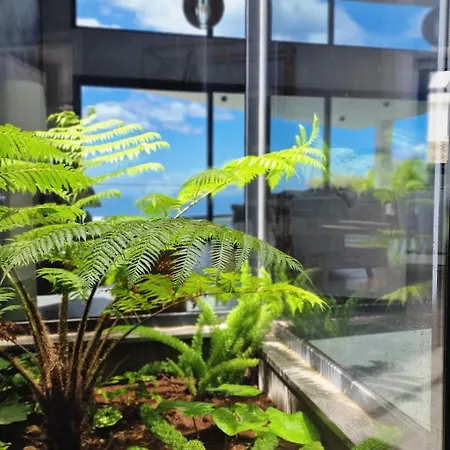 Estrelicia By Lovelystay * Ribeira Brava