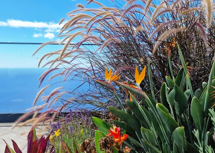 Estrelicia By Lovelystay ריביירה בראבה